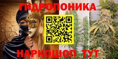 индика Ярославль