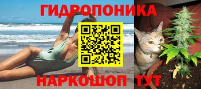 индика Ярославль