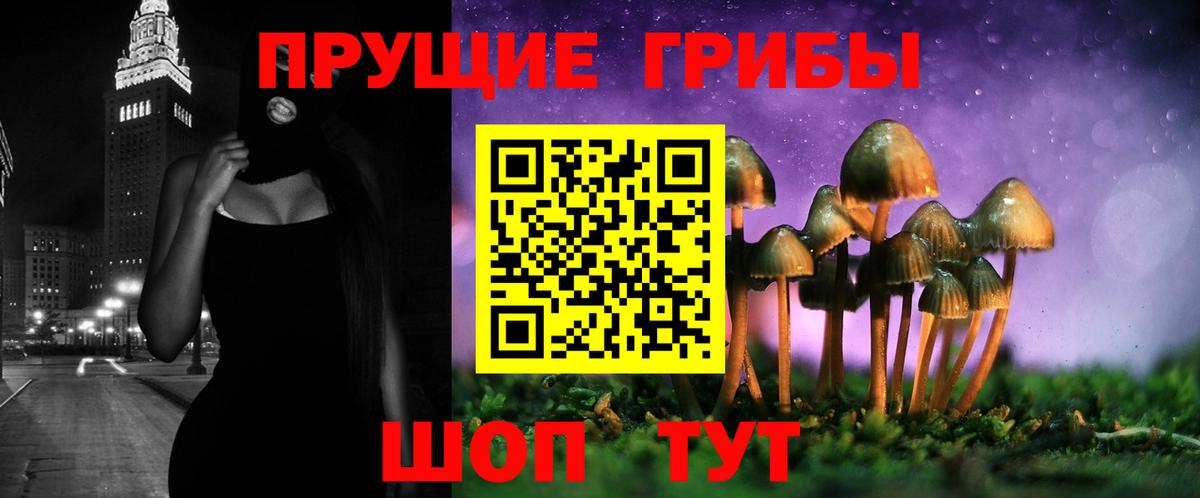 купить закладку  Вход с VPN  Красногорск  Псилоцибиновые грибы прущие грибы 